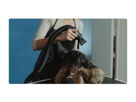 Saying Goodbye to Flying Fur: Vacuum Grooming System Solutions for Enhanced Pet Salon Efficiency and Hygiene